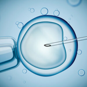 Focus on Female Infertility
