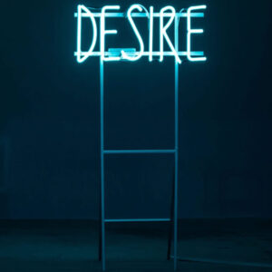 desire-1.jpg Desire & Desire Discrepancy