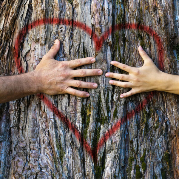eco-informed-therapy eco informed therapy